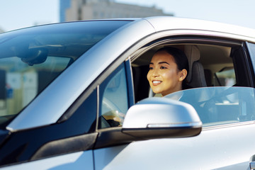In the morning. Delighted attractive woman sitting in the car while driving to work