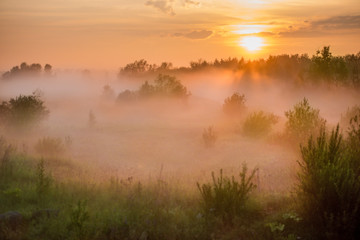 Summer landscape of the foggy field