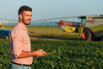 Young farmer in filed holding tablet in his hands and examining soybean corp.