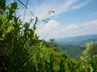 Carpathians / Ukraine - July 07 2017: Paraglider flying parachute in blue sky at a bright sunny summer day. Active lifestyle
