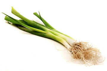 Welsh onion