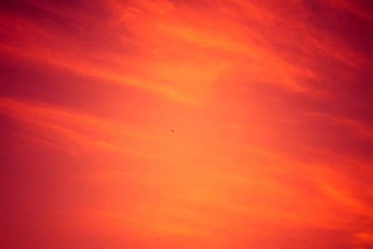 Red sunset sky background.