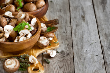 Obraz na płótnie Canvas Mushrooms in bowls background