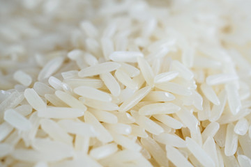 Thailand Jasmine rice texture background close up