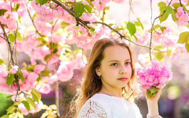 Girl on dreamy face standing under sakura branches with flowers, defocused. Tenderness concept. Girl with long hair outdoor, cherry blossom on background. Cute child enjoy nature on spring day.