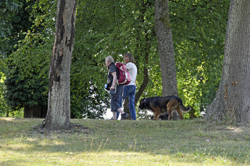 zwei frauen gehen mit hunden in einem park spazieren