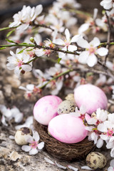 Easter eggs and blossom