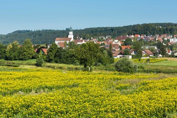 Ausblick auf Laiz, Ortsteil der Stadt Sigmaringen an der Donau (Hohenzollern)