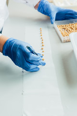 cropped image of biologist putting seeds in row by tweezers at table in modern laboratory