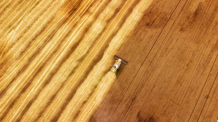Harvester machine working in field . Combine harvester agriculture machine harvesting golden ripe wheat field. Agriculture. Aerial view. From above.