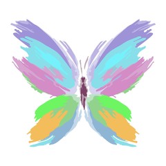 Butterfly from color splashes and line brushes. Vector