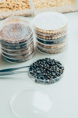 close up view of tweezers, various grains and sunflower seeds in modern agro laboratory