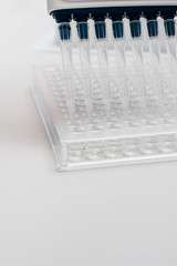 close up view of multichannel pipette in modern biotechnology laboratory
