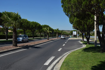 Avenue avec terre-plein central à Port-la-Nouvelle, Aude, Languedoc, Occitanie, France.