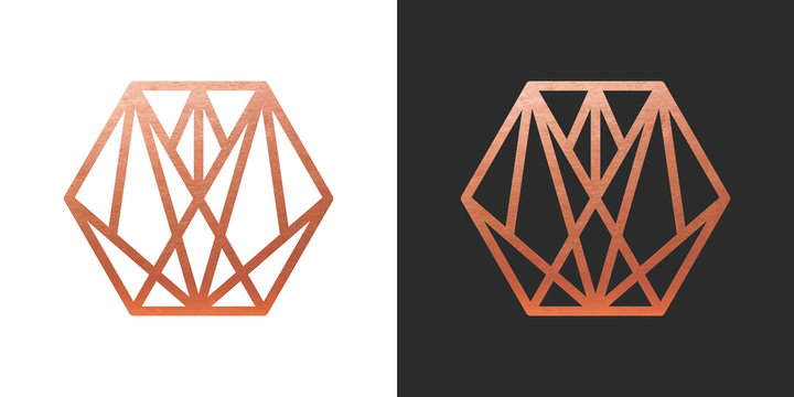 Copper geometric hexagon Logo Shape. Vector Icon.