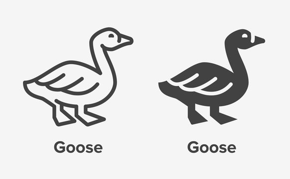 Goose flat line, glyph icon. Bird sign, illustration of duck. Thin linear and silhouette logo for farm store.