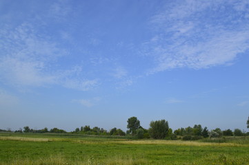 coastal landscape