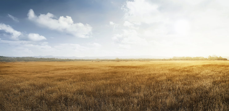 Landscape view of dry savanna © Leo Lintang
