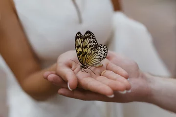 Naadloos Fotobehang Airtex Vlinder vlinder op de handpalm. hand in hand. het paar houdt zachtjes de handen vast.