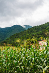 Beautiful green scenery of Nepal in Summer,Scene of Himalayas,Chandragiri Nepal