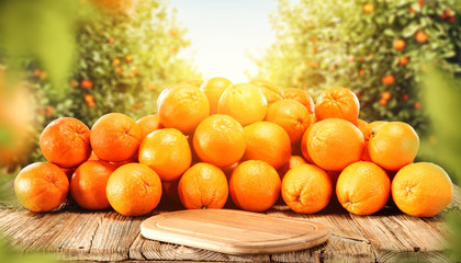 Fresh orange fruits and garden background with summer sun light