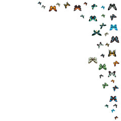  isolated, butterflies flying, background