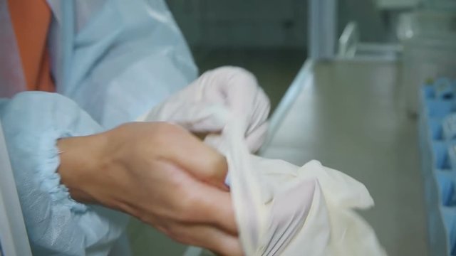 The nurse puts on gloves