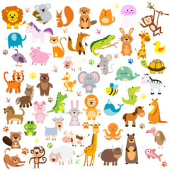 large set of animals vector