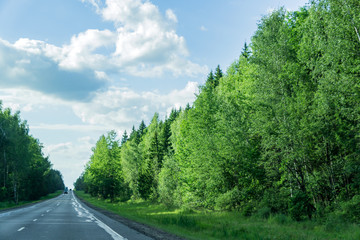 car road through the forest in a sunny day in Russia