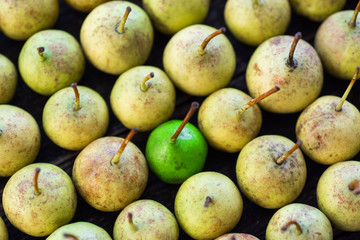 Fresh ripe organic pears - selective focus, standing out from the crowd, leadership, difference concept. personality stand out from the mass 