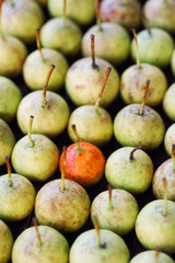 Fresh ripe organic pears - selective focus, standing out from the crowd, leadership, difference concept. personality stand out from the mass 