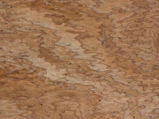 interior design concept from close up shape on wooden texture with old and natural surface background