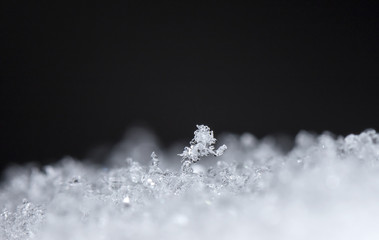 snow crystals, snow
