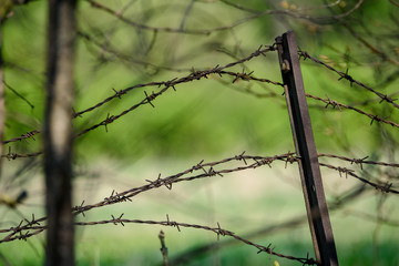 barbed wire fence on green background