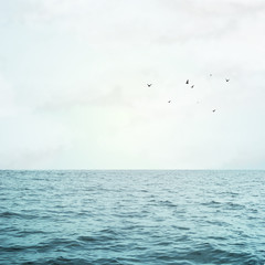Sea