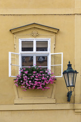 Prague. Window in the old house, decorated with flowering plants..