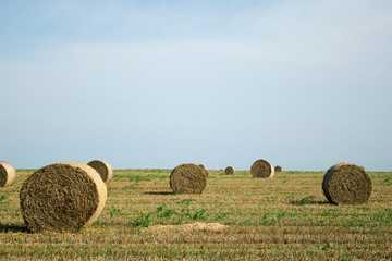 Field with harvested crops and straw in bales