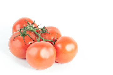 tomatoes on a branch .isolated white background