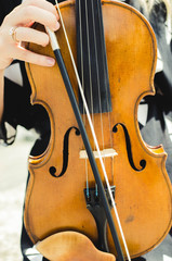 Violin hands on the background