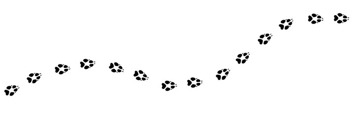 Paw vector foot trail print of wolf. Wolfling silhouette animal diagonal tracks for t-shirts, backgrounds, patterns, websites, showcases design, greeting cards, child prints, etc. It's scatter brush.