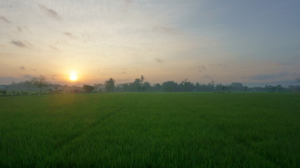 Sunrise and farm
