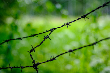 Fototapeta na wymiar barbed wire fence on green background