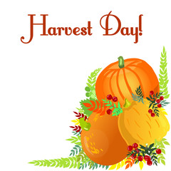 Happy harvest day. Collection of pumpkins and berries. Vector illustration.