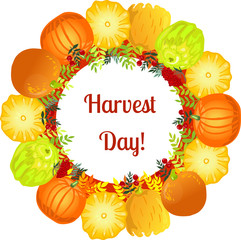 Frame of pumpkins and berries. Happy harvest day. Vector illustration.