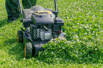 Mowing lawns. Lawn mower on green grass. mower grass equipment. mowing gardener care