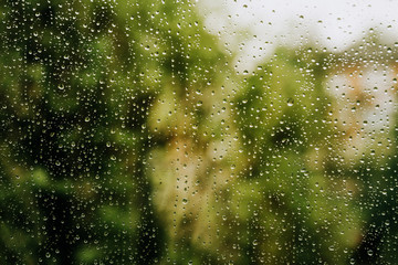 Green freshness after the rain. The texture of the drops on the glass.