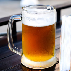 Beautiful pink clover and bumblebee in the Park