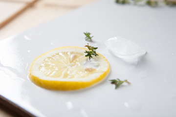Obraz na płótnie Canvas A close-up of a slice of lemon and a melted piece of ice on a tray