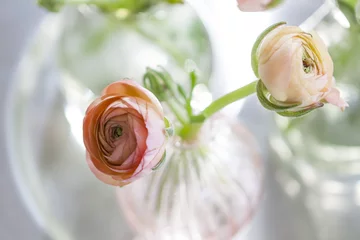 Gordijnen mooie ranonkel bloemen © Laura