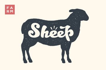 Sheep. Lettering, typography. Animal silhoutte sheep or lamb and lettering Sheep. Creative graphic design for butcher shop, farmer market. Vintage poster for meat related theme. Vector Illustration